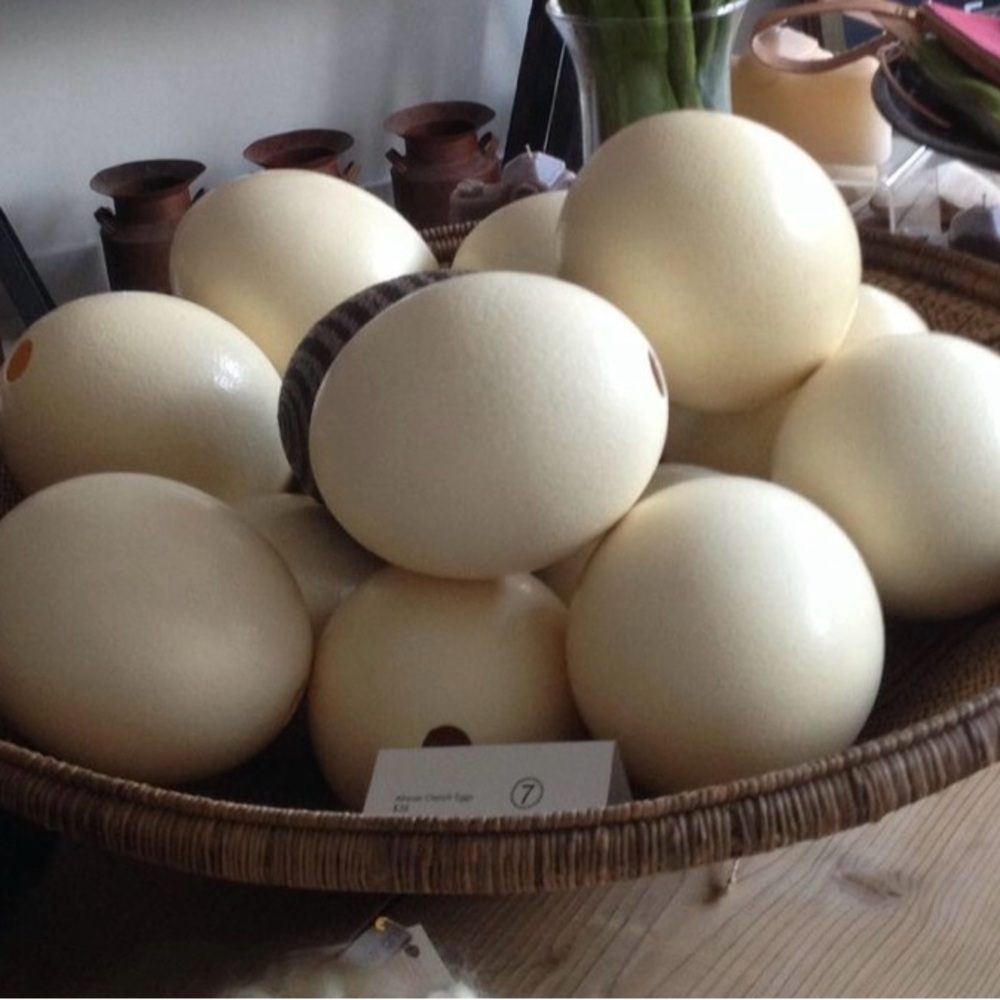 🥚Ostrich Eggshell for Decor or Crafts